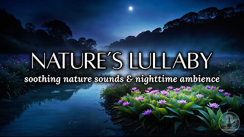 Soothing Nature Sounds & Nighttime Ambience for Sleep & Relaxation 🐸🌙 🌿 | Sounds of Nature