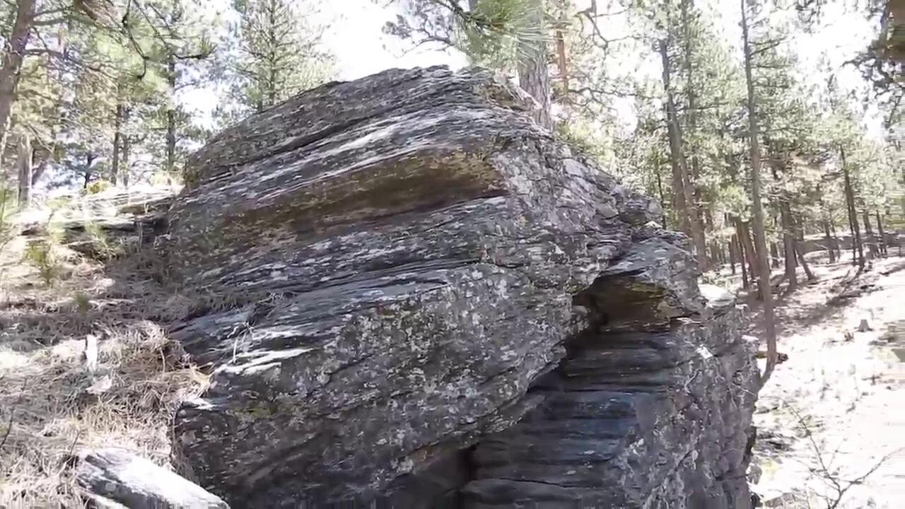 The original forest on flat earth part 15, 2 of 7, My Trip Unedited