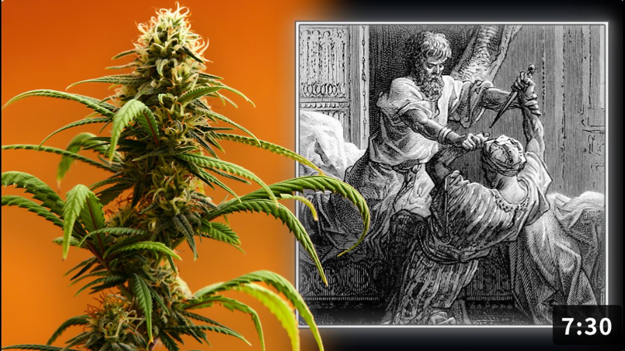 EXCLUSIVE: Michael Savage Exposes The Secret History Of Marijuana & The Hashish Assassins