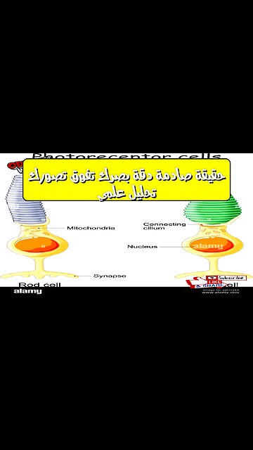 حقيقة صادمة: دقة بصرك تفوق تصورك! ️ تحليل علمي #بصريات #عيون #تحليل