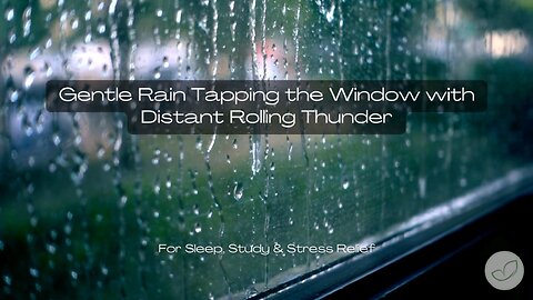 gentle rain tapping on window with distant thunder for sleep, study, relax