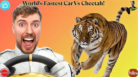 World’s Fastest Car vs Cheetah! 🏎️⚡️ Ultimate Speed Challenge | JustBeast