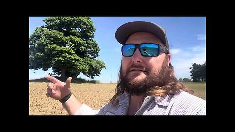 "Discover the Fascinating Reason Farmers Leave a Lone Tree in Their Fields"