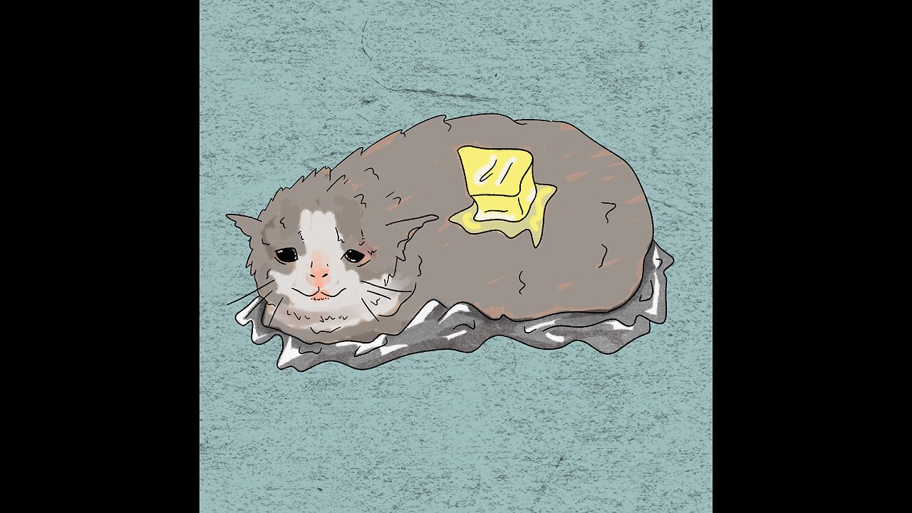 Potato Cat - Daily 40