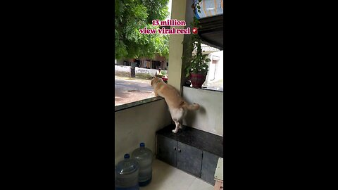 सब्जी वाले भईया का इन्तजार रहता है