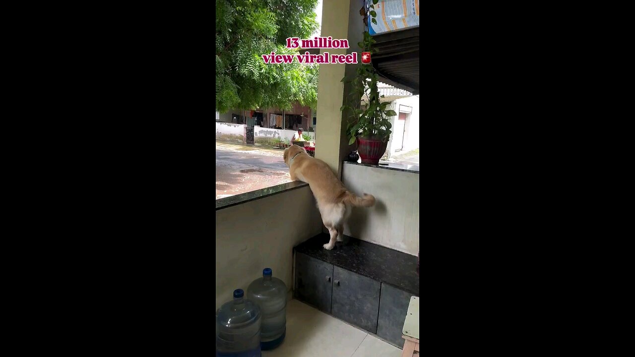 सब्जी वाले भईया का इन्तजार रहता है