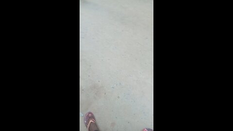 vlogs