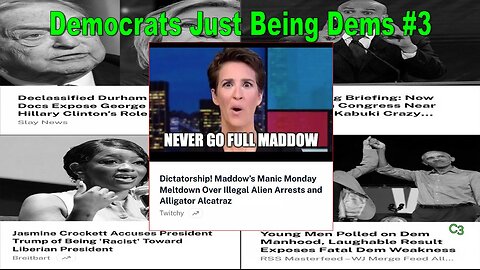 Democrats Just Being Democrats #3