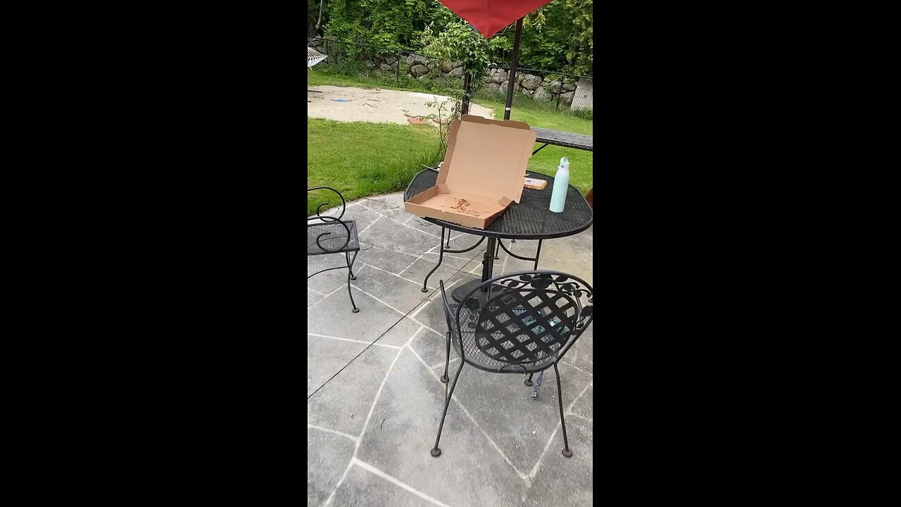 Funny Clip