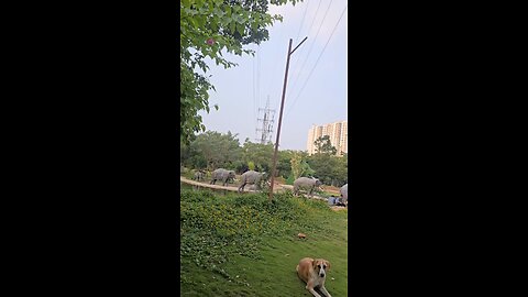 Your attitude can turn any day into a great one . 🙌🏻