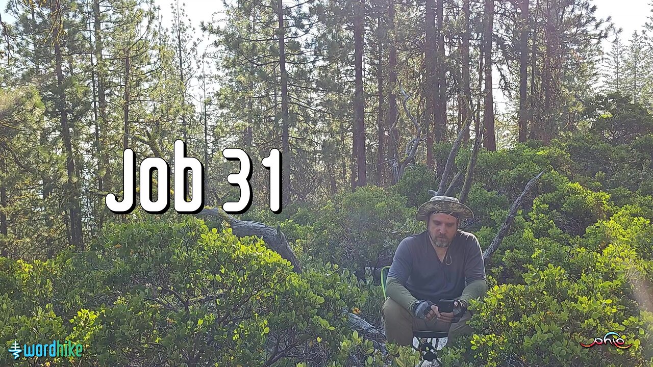 Job 31