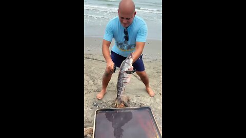 Fresh fish has a unique taste of its own.