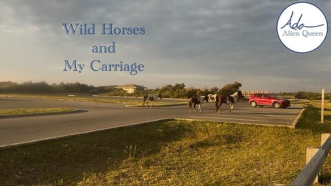Ada Alien Queen • Ada Walks • Take # 00017 • Wild Horses and My Carriage