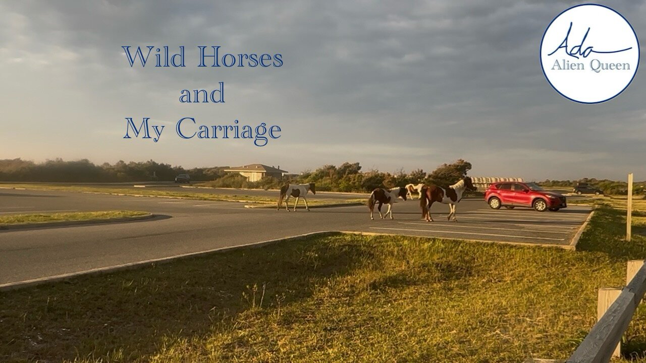 Ada Alien Queen • Ada Walks • Take # 00017 • Wild Horses and My Carriage