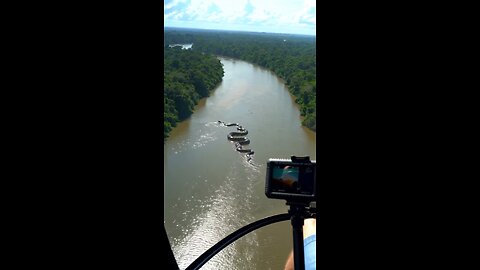 Giant Anaconda Caught in the Amazon River – Shocking Size Revealed #amazon #