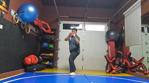 WTD 2 Step Kick Combination 152
