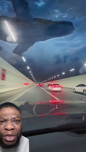 Qingdao Undersea Highway Tunnel 😱🤯 COUNT ME OUT !!