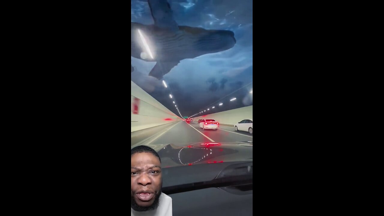 Qingdao Undersea Highway Tunnel 😱🤯 COUNT ME OUT !!