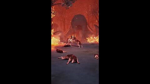 wolf poor life #wolf #fyo #new #breqck