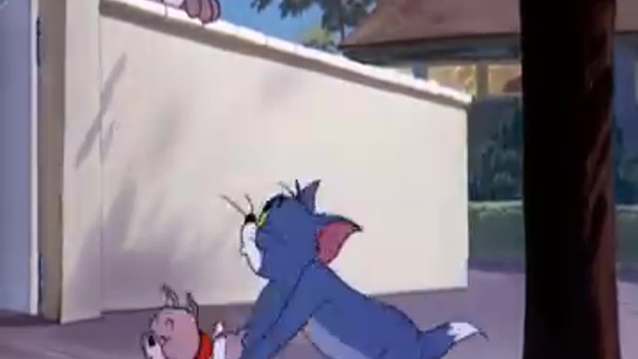 Tom face very difficult situation