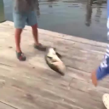 Oh yeah, the fellas got them one.....