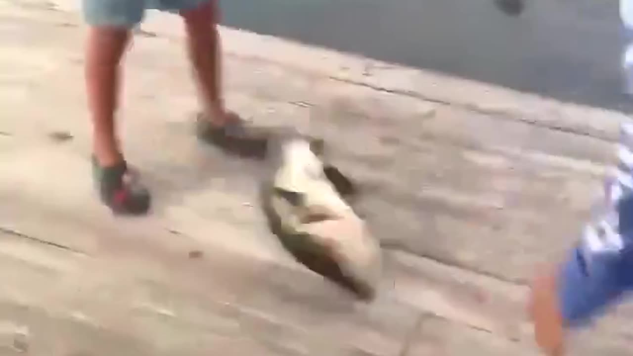 Oh yeah, the fellas got them one.....