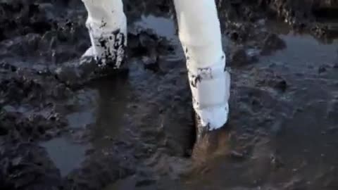 Mud Squelching