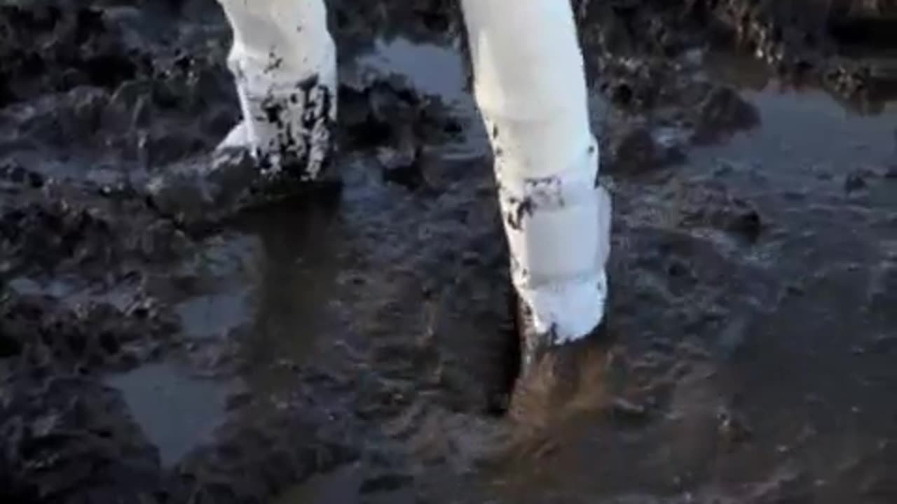 Mud Squelching