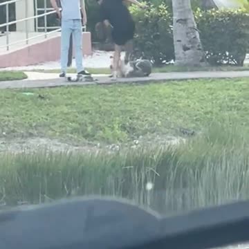 People like this should never be allowed to have animals he should be banned for life. 😡😡😡😡