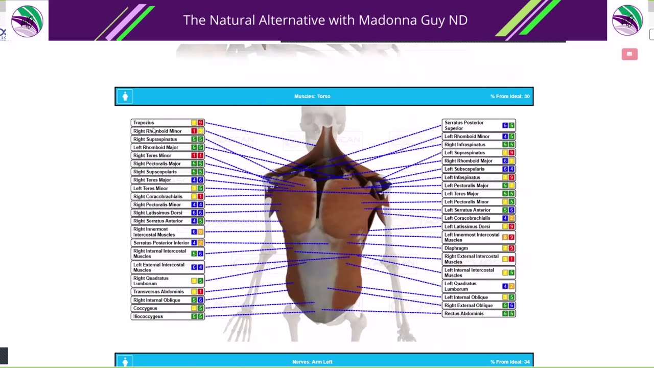 Part 2: Boobs & Bioresonance - an alternative perspective to mainstream screening