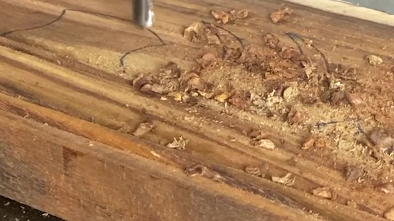 Watch a Plain Wooden Block Transform Into Stunning Art!