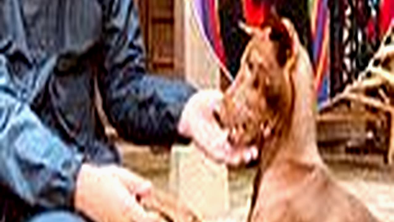 The Hidden Message Oasis Shared with Fans Revealed