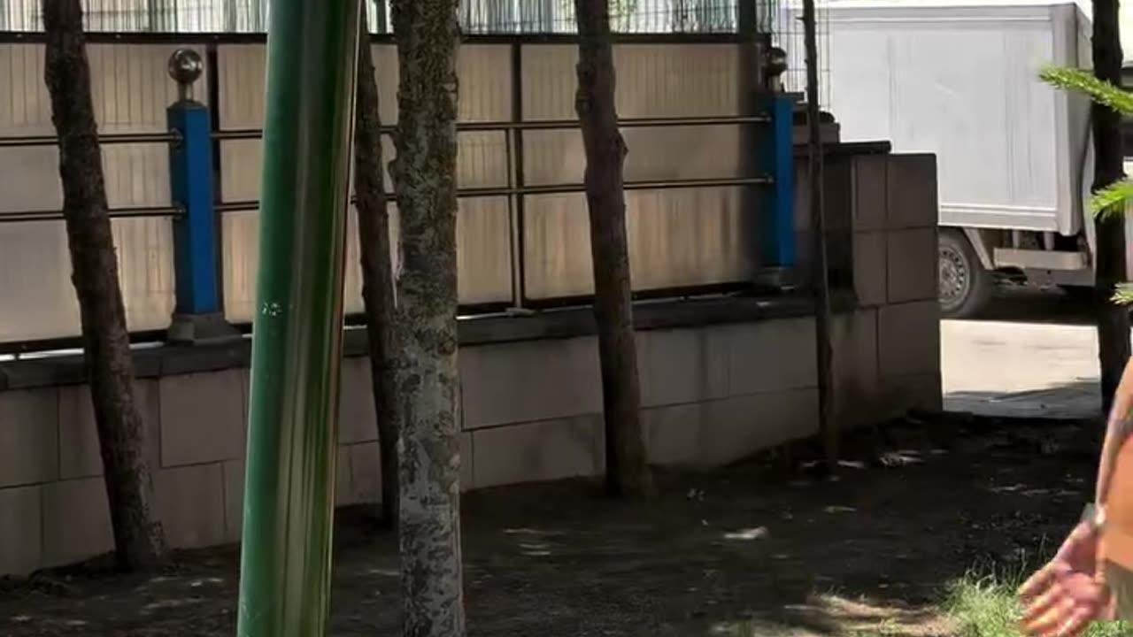 Beautiful video