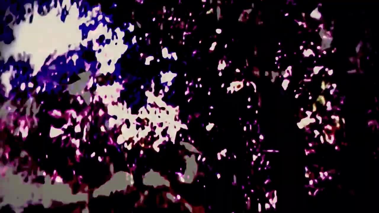 Mr Sanãto - Worst Case Ontario