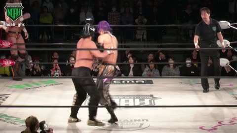 NOAH Sunny Voyage 2025 3-31-25