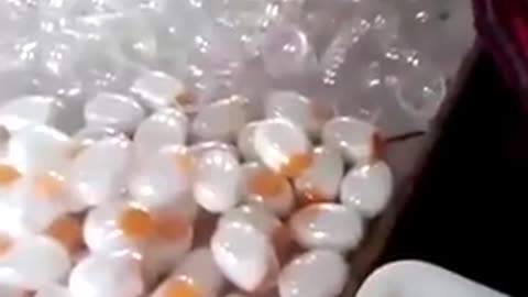 Fake foods to watch out for