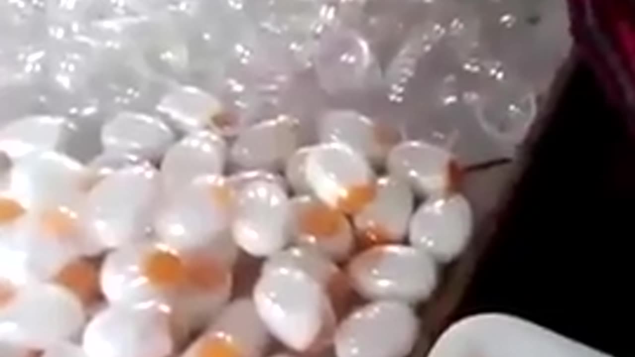 Fake foods to watch out for