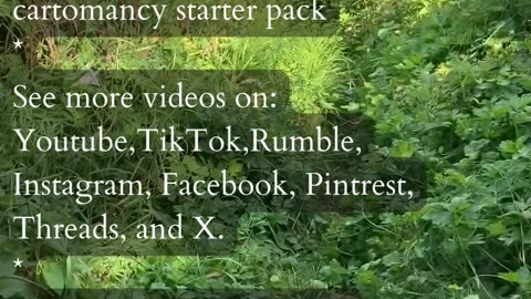 Creative Solutions | Path and Tarot Reading