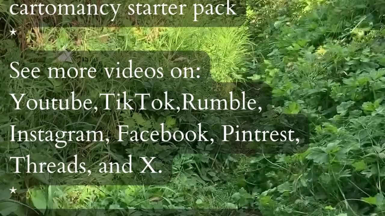 Creative Solutions | Path and Tarot Reading