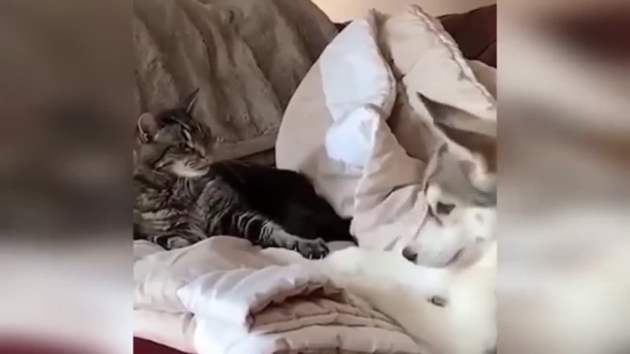 TRY NOT TO LAUGH 😆 Best Funny Videos Compilation 😂😁😆 Memes.