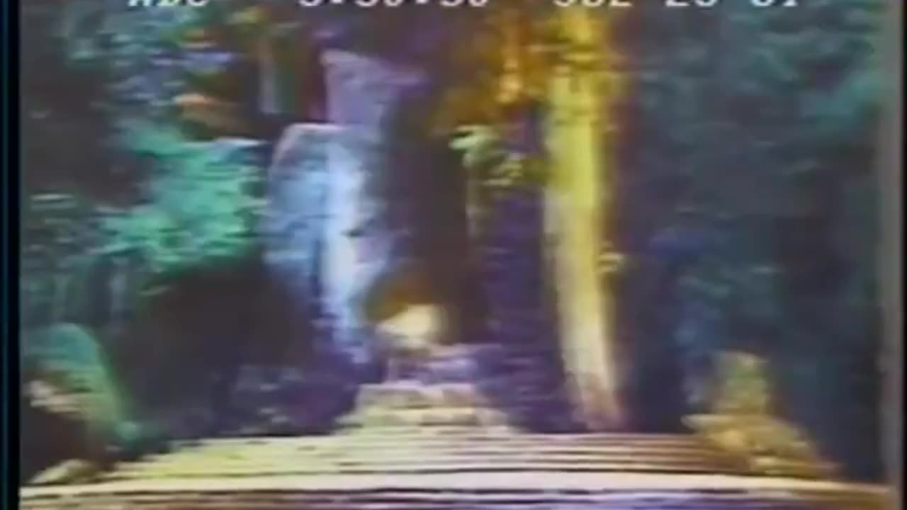 You Won’t Believe What ABC Reported in 1981 About Bohemian Grove | REDPILL DRIFTER