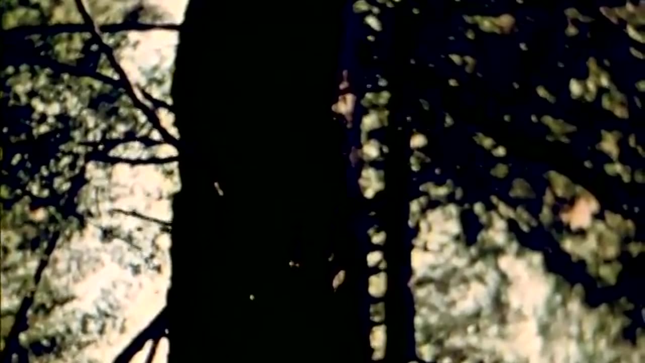 SF Home Movies, Late 1940s