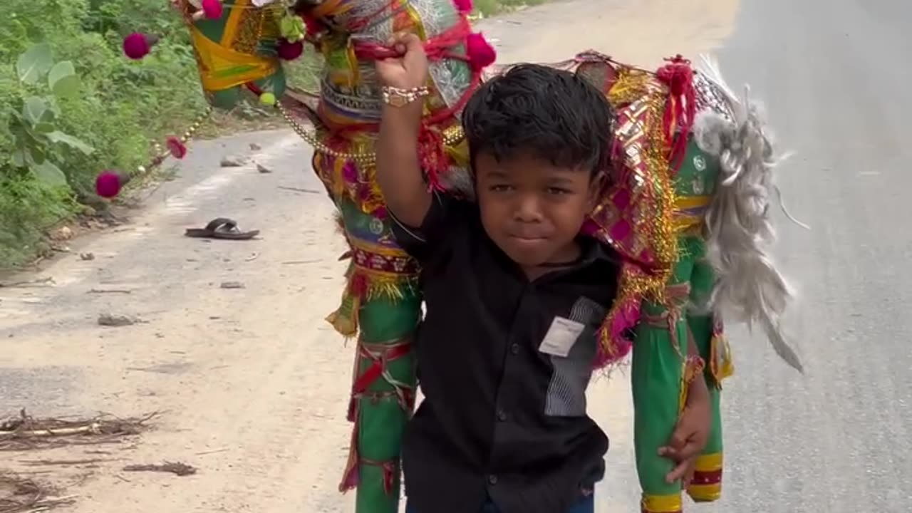 Ramdevpir maharaj Horse !