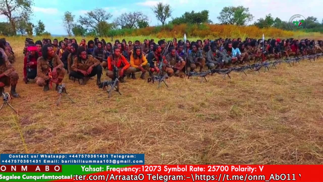 Gabaasa Tarkaanfii ONM-ABO Adoolessa 26-2025 itti dhiyaadhaa!