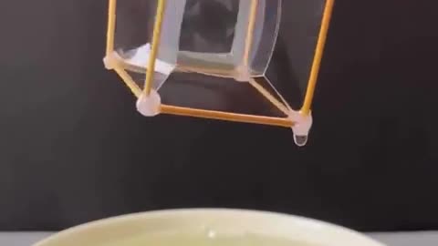 🤯✨ Mind Blown! The Science Behind Surface Tension | FeedMyCuriosity