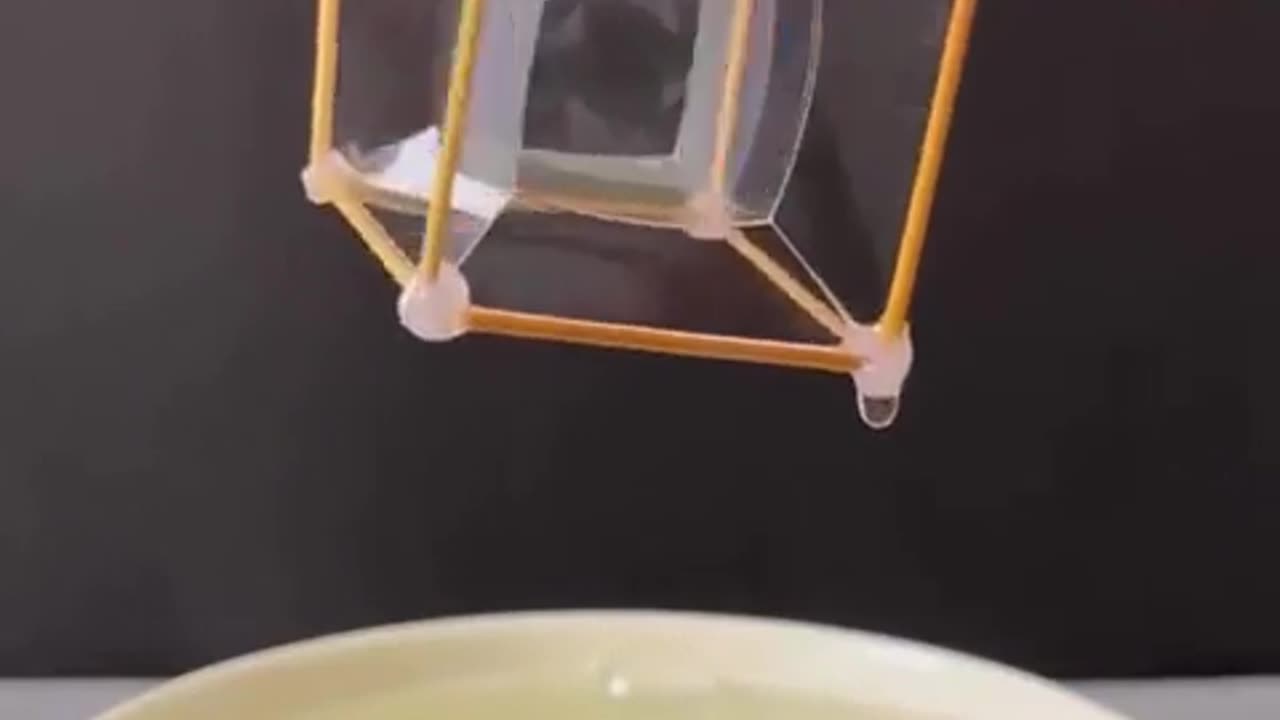 🤯✨ Mind Blown! The Science Behind Surface Tension | FeedMyCuriosity