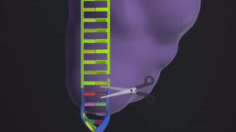 FIRST TIME EVER A BABY HAD THEIR DNA EDITED TO FIX A DEADLY DISORDER A MICROSCOPIC COPY & PASTE