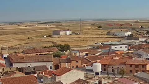 A pigeon rests in an empty stork's nest 🕊🕊🤗