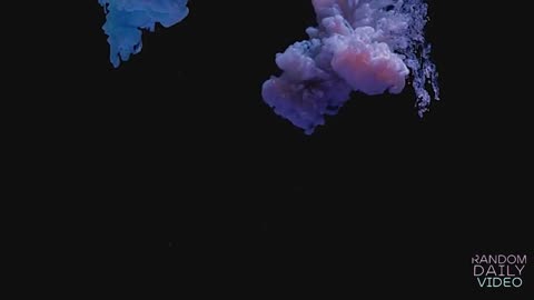 LIVE RANDOM DAILY MUSIC RDM