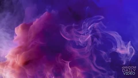 LIVE RANDOM DAILY MUSIC RDM